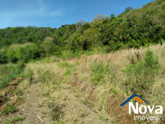Imagem Imóvel à Venda, 10.000 m² em Vila Rica - Presidente Lucena Imagem Imóvel à Venda, 10.000 m² em Vila Rica - Presidente Lucena
