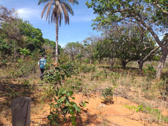 Imagem Fazenda à Venda, 5 m² em Montes Claros Imagem Fazenda à Venda, 5 m² em Montes Claros