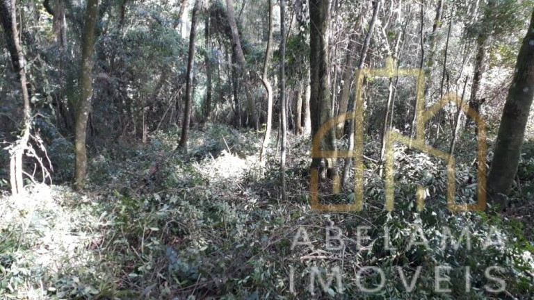 Imagem Terreno à Venda, 5.200 m² em Moreiras - Mairinque