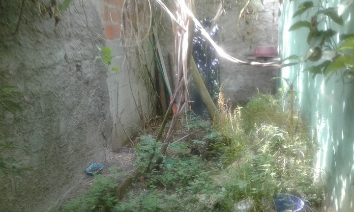 Imagem Sobrado com 3 Quartos à Venda, 267 m² em Bopiranga - Itanhaém
