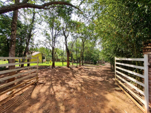 Imagem Chácara com 3 Quartos à Venda, 46 m² em Cercadinho - Alambari Imagem Chácara com 3 Quartos à Venda, 46 m² em Cercadinho - Alambari
