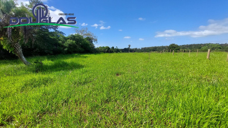 Imagem Chácara à Venda,  em águas Claras - Viamão