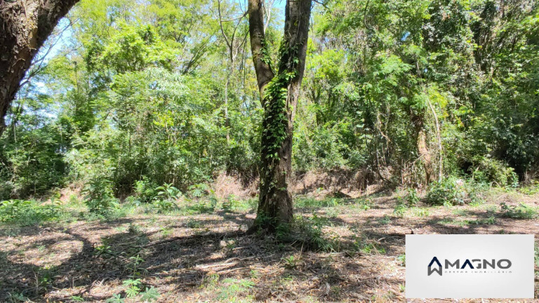 Imagem Chácara à Venda, 20 m² em Coqueiral - Cascavel