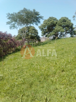 Imagem Terreno à Venda, 250 m² em Ibiúna Imagem Terreno à Venda, 250 m² em Ibiúna