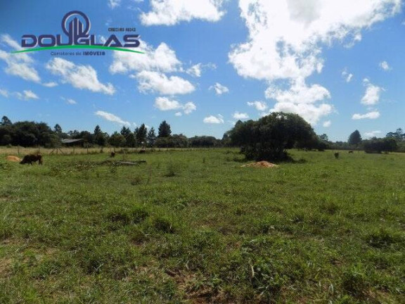 Imagem Terreno à Venda, 1.100 m² em águas Claras - Viamão
