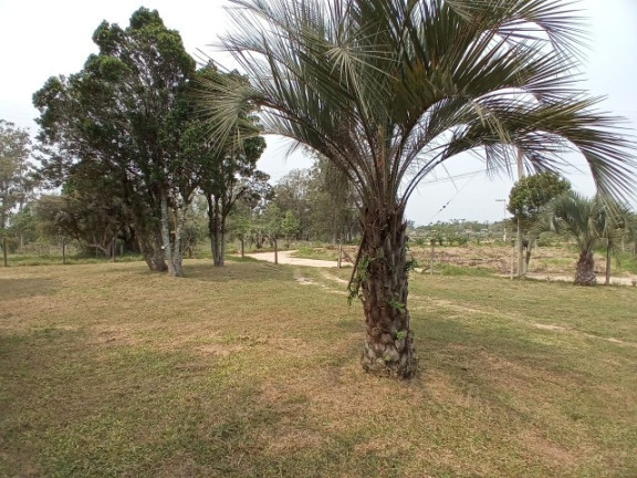 Imagem Chácara com 1 Quarto à Venda, 1.200 m² em águas Claras - Viamão