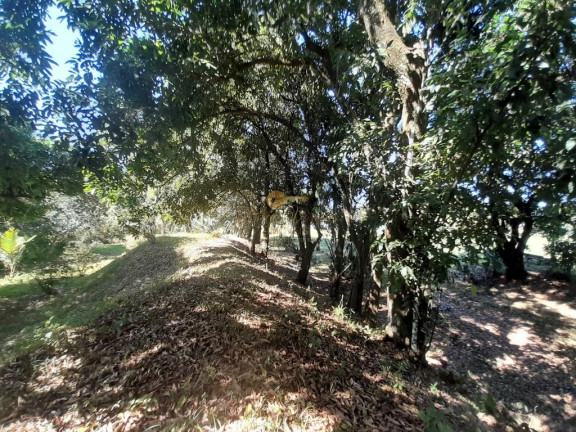 Imagem Terreno à Venda, em Cotia - Guapimirim Imagem Terreno à Venda, em Cotia - Guapimirim