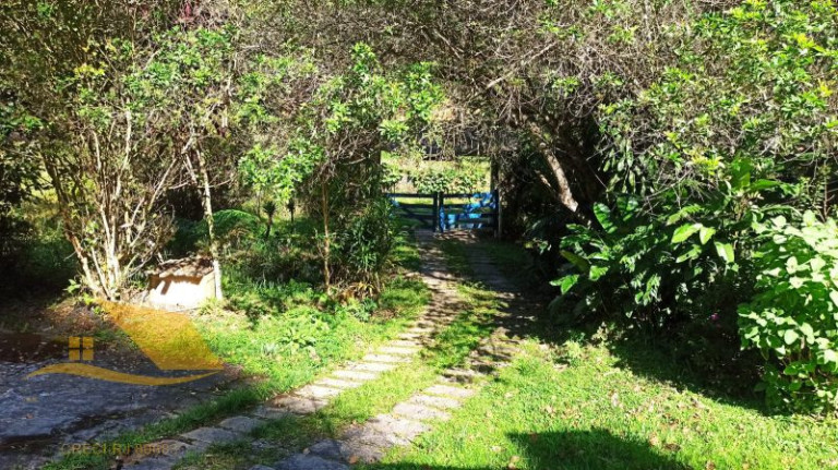Imagem Chácara com 3 Quartos à Venda, 100 m² em Conselheiro Paulino - Nova Friburgo Imagem Chácara com 3 Quartos à Venda, 100 m² em Conselheiro Paulino - Nova Friburgo