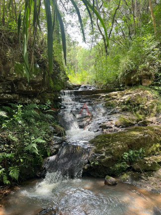 Imagem Fazenda à Venda, 5 m² em Rio Das Pedras - Guarapuava Imagem Fazenda à Venda, 5 m² em Rio Das Pedras - Guarapuava