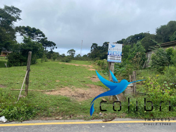 Imagem Terreno à Venda, 3.785 m² em Pinheiro Ocado - Agudos Do Sul Imagem Terreno à Venda, 3.785 m² em Pinheiro Ocado - Agudos Do Sul