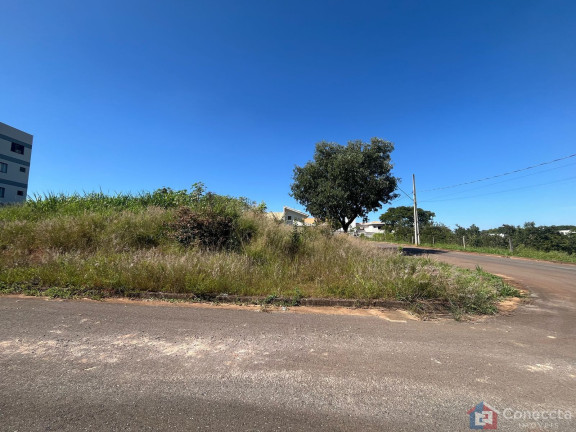 Imagem Terreno à Venda, 375 m² em Campos Elíseos - Patos De Minas Imagem Terreno à Venda, 375 m² em Campos Elíseos - Patos De Minas