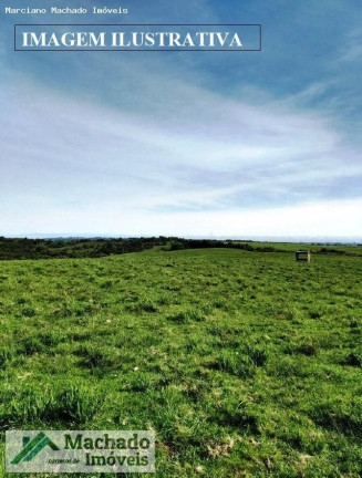 Imagem Imóvel à Venda, 200.000 m² em Rural - Santiago Imagem Imóvel à Venda, 200.000 m² em Rural - Santiago