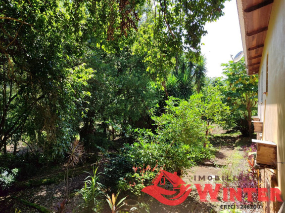 Imagem Chácara com 3 Quartos à Venda, 70.000 m² em Vale Do Lobo - Feliz Imagem Chácara com 3 Quartos à Venda, 70.000 m² em Vale Do Lobo - Feliz