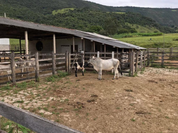 Imagem Fazenda à Venda, 90 m² em Zona Rural - Santa Rita Do Sapucaí Imagem Fazenda à Venda, 90 m² em Zona Rural - Santa Rita Do Sapucaí