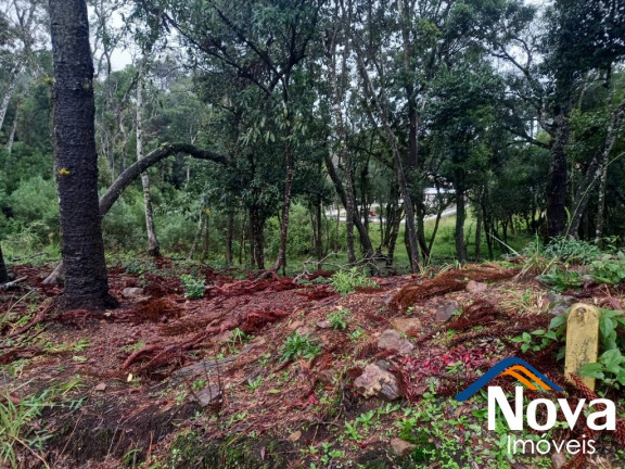 Imagem Imóvel à Venda, 811 m² em Vila Germânia - Nova Petrópolis Imagem Imóvel à Venda, 811 m² em Vila Germânia - Nova Petrópolis