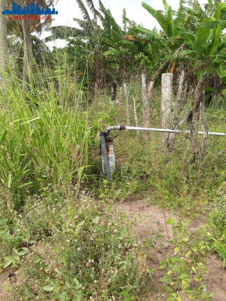 Imagem Chácara à Venda, 4 m² em Guajirú - São Gonçalo Do Amarante