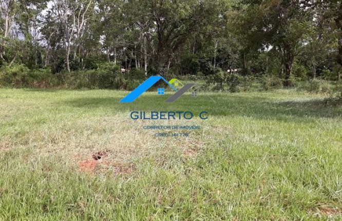 Imagem Imóvel à Venda, 7.685 m² em área Rural De Jacuba - Arealva