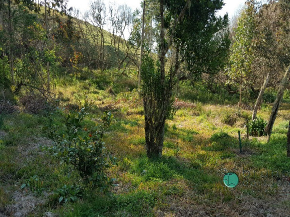 Imagem Imóvel com 2 Quartos à Venda, 50.000 m² em Zona Rural - Alfredo Wagner Imagem Imóvel com 2 Quartos à Venda, 50.000 m² em Zona Rural - Alfredo Wagner