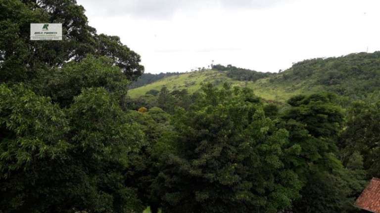 Imagem Chácara com 4 Quartos à Venda, 17.000 m² em Alto Da Serra - São Roque Imagem Chácara com 4 Quartos à Venda, 17.000 m² em Alto Da Serra - São Roque