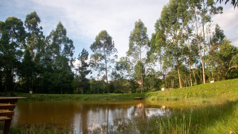 Imagem Terreno à Venda, 302 m² em Vila Rivabem - Campo Largo Imagem Terreno à Venda, 302 m² em Vila Rivabem - Campo Largo