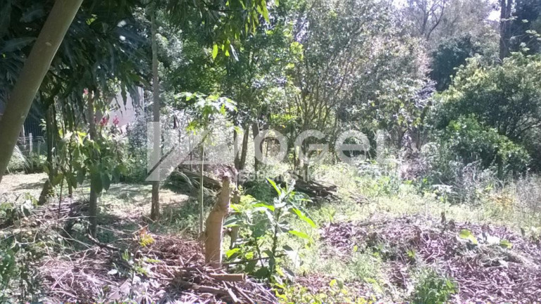 Imagem Imóvel à Venda, 360 m² em Loteamento Parque Recreio - Sao Leopoldo Imagem Imóvel à Venda, 360 m² em Loteamento Parque Recreio - Sao Leopoldo