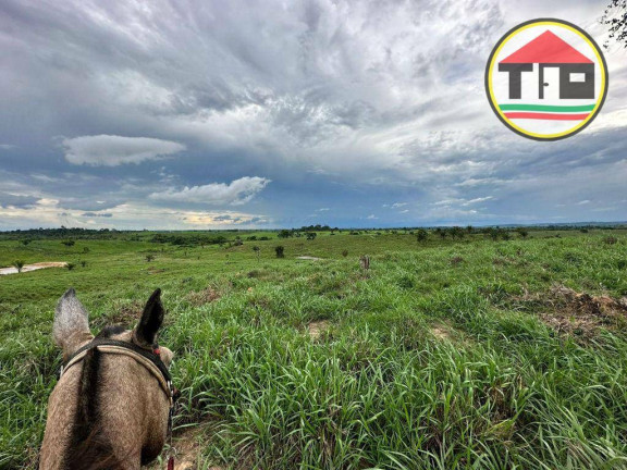 Imagem Fazenda à Venda, 1.645.600 m² em Zona Rural - Eldorado Do Carajás Imagem Fazenda à Venda, 1.645.600 m² em Zona Rural - Eldorado Do Carajás