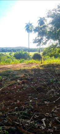 Imagem Chácara à Venda, 29.000 m² em área Rural De Luziânia - Luziânia Imagem Chácara à Venda, 29.000 m² em área Rural De Luziânia - Luziânia