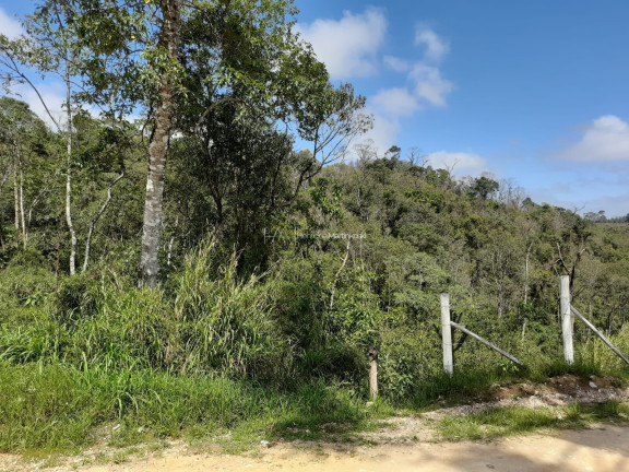 Imagem Fazenda à Venda, 58.665 m² em Pacotuba - Almirante Tamandaré Imagem Fazenda à Venda, 58.665 m² em Pacotuba - Almirante Tamandaré