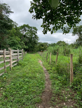 Imagem Chácara à Venda, 22 m² em Jangada Imagem Chácara à Venda, 22 m² em Jangada