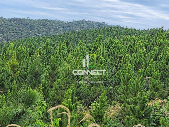Fazenda à Venda, 4.477.000 m² em Zona Rural - Bocaiúva Do Sul