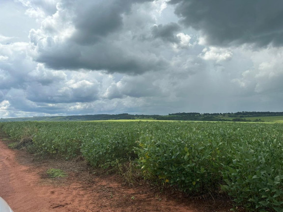 Imagem Imóvel à Venda, 270 m² em área Rural De Sete Barras - Sete Barras Imagem Imóvel à Venda, 270 m² em área Rural De Sete Barras - Sete Barras