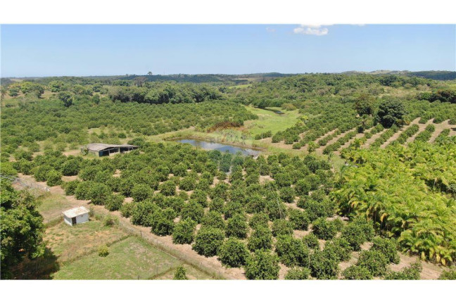 Imagem Imóvel à Venda, 200.000 m² em Bacaxa - Saquarema
