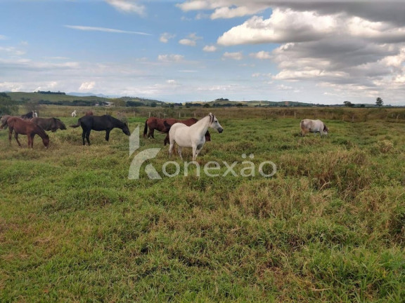 Imagem Chácara com 1 Quarto à Venda, 300 m² em Bairro Marambaia - Caçapava Imagem Chácara com 1 Quarto à Venda, 300 m² em Bairro Marambaia - Caçapava