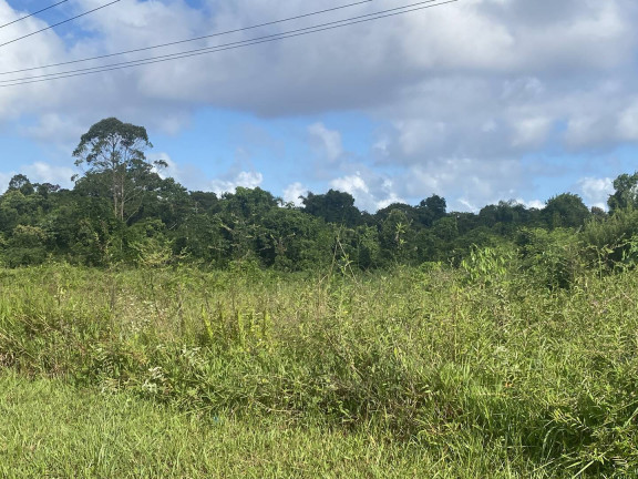 Imagem Terreno à Venda, 156.000 m² em Belas Artes - Itanhaém Imagem Terreno à Venda, 156.000 m² em Belas Artes - Itanhaém