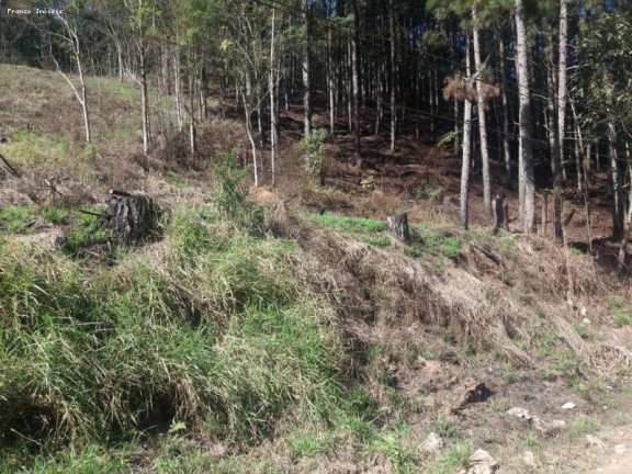 Imagem Terreno à Venda, 6.765 m² em Ouro Fino Paulista - Ribeirão Pires