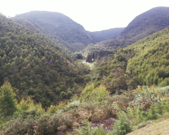 Imagem Imóvel à Venda, 2.500.000 m² em Fazenda Bela Vista - Nova Friburgo