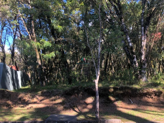 Imagem Terreno à Venda, 728 m² em Pinheiro Grosso - Canela Imagem Terreno à Venda, 728 m² em Pinheiro Grosso - Canela