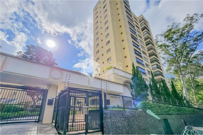 Imagem Apartamento com 3 Quartos à Venda, 129 m² em Vila Suzana - São Paulo Imagem Apartamento com 3 Quartos à Venda, 129 m² em Vila Suzana - São Paulo