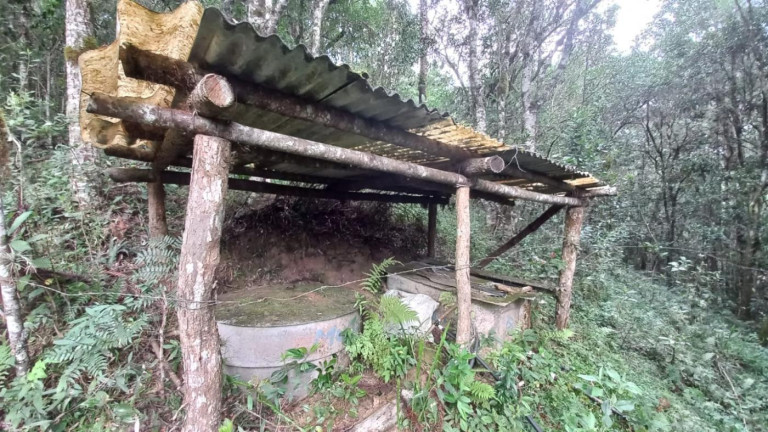 Imagem Imóvel com 3 Quartos à Venda, 11 m² em Olaria - Bocaiúva Do Sul Imagem Imóvel com 3 Quartos à Venda, 11 m² em Olaria - Bocaiúva Do Sul