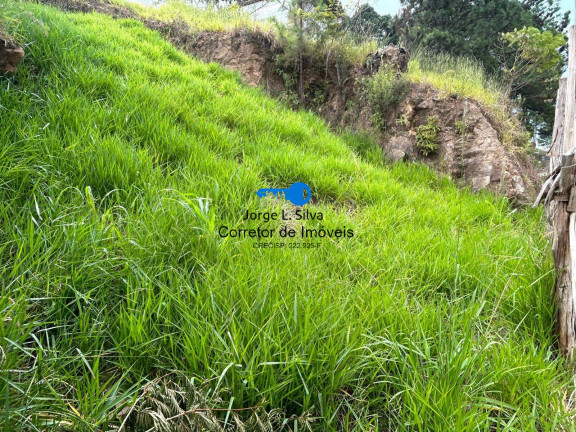 Imagem Terreno à Venda, 250 m² em Parque Dos Monteiros I - Santana De Parnaíba Imagem Terreno à Venda, 250 m² em Parque Dos Monteiros I - Santana De Parnaíba