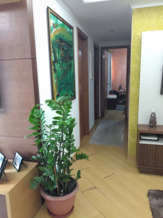 Imagem Apartamento com 3 Quartos à Venda, 72 m² em Jardim Esmeralda - São Paulo