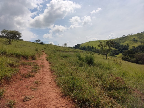 Imagem Fazenda à Venda, 150 m² em Nossa Senhora De Lourdes - São Lourenço Imagem Fazenda à Venda, 150 m² em Nossa Senhora De Lourdes - São Lourenço