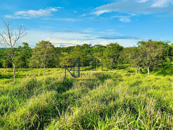 Imagem Chácara à Venda, em Professor Jamil Imagem Chácara à Venda, em Professor Jamil