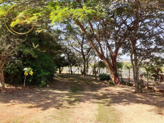Imagem Imóvel com 9 Quartos à Venda, 69.700 m² em Reforma Agrária - Valinhos Imagem Imóvel com 9 Quartos à Venda, 69.700 m² em Reforma Agrária - Valinhos