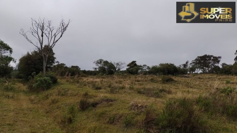 Imagem Imóvel com 4 Quartos à Venda, 2.600.000 m² em Centro - Canguçu