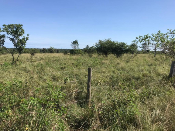 Imagem Imóvel à Venda,  em Juarina/to - Juarina