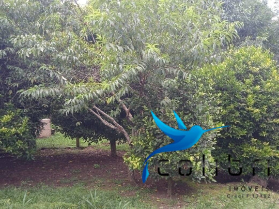 Imagem Chácara com 3 Quartos à Venda, 1.210 m² em Taboão - Agudos Do Sul Imagem Chácara com 3 Quartos à Venda, 1.210 m² em Taboão - Agudos Do Sul