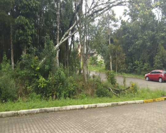Imovel