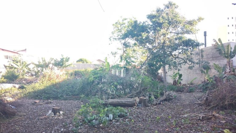 Terreno à Venda, 1.558 m² em Saco Dos Limões - Florianópolis