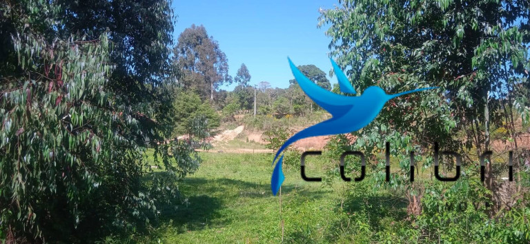 Imagem Chácara com 3 Quartos à Venda, 10.300 m² em Agua Clara - Quitandinha Imagem Chácara com 3 Quartos à Venda, 10.300 m² em Agua Clara - Quitandinha